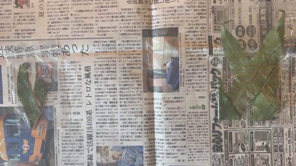 メルカリで購入した胞子葉