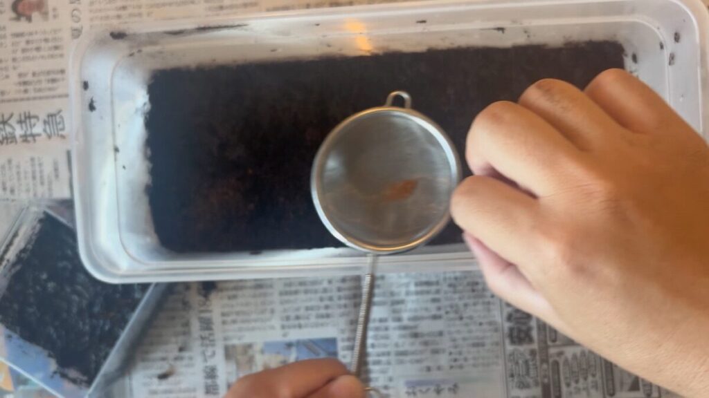 茶こしでまんべんなくまく