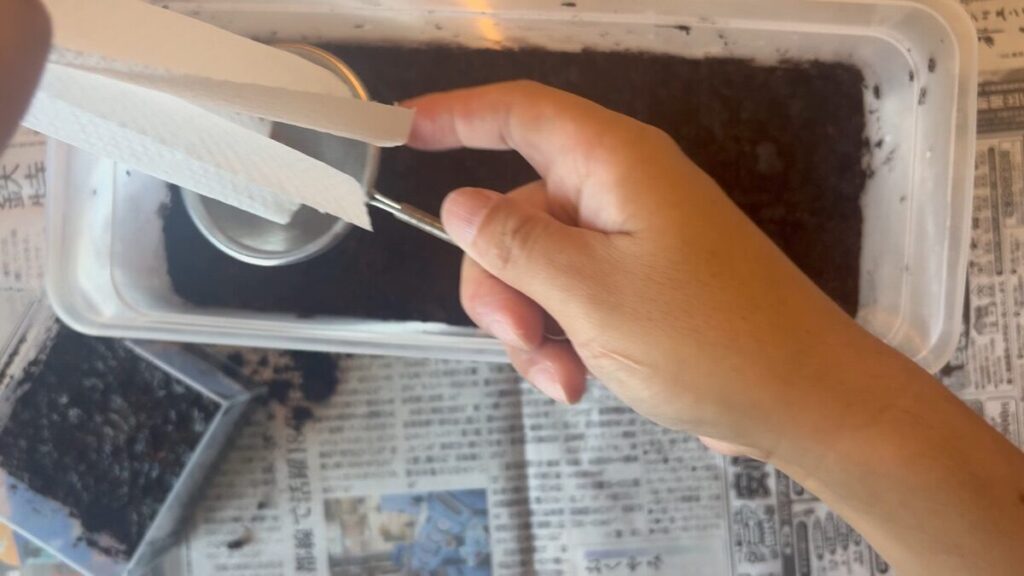 茶こしに胞子を移す